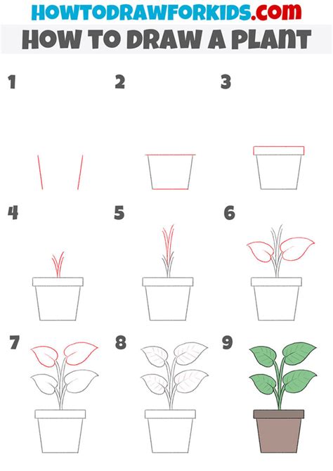 plant drawing|easy plants to draw.